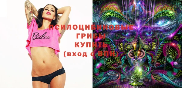 герыч Алексин