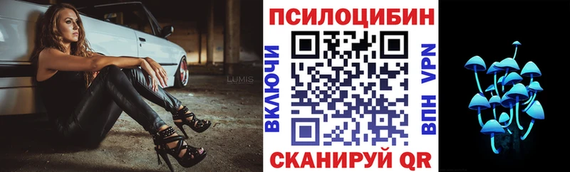 Псилоцибиновые грибы Magic Shrooms  купить  цена  Алупка 